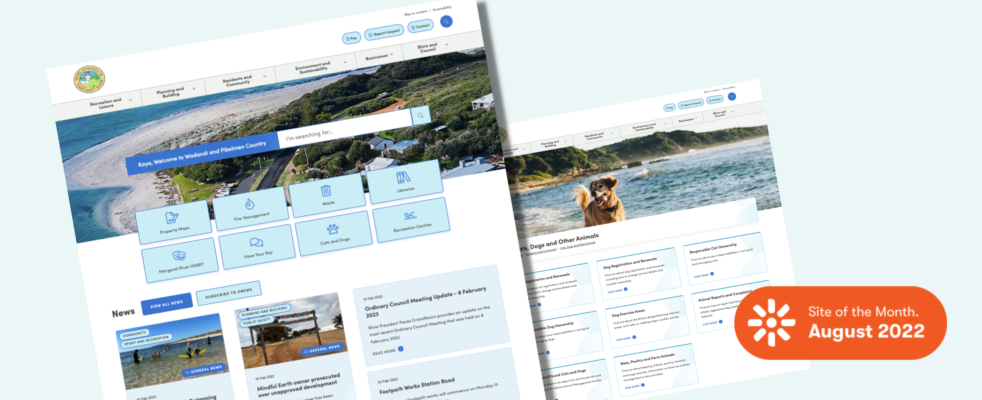 3140x1280 Case Study SolutionHero