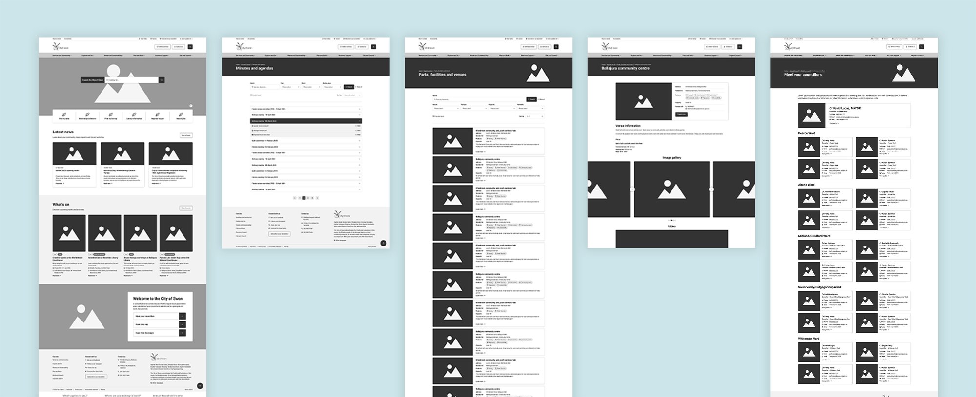 Images of wireframes