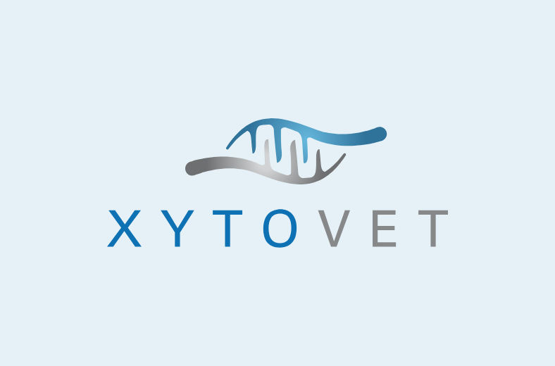 XytoVet - Driving site traffic with digital strategy